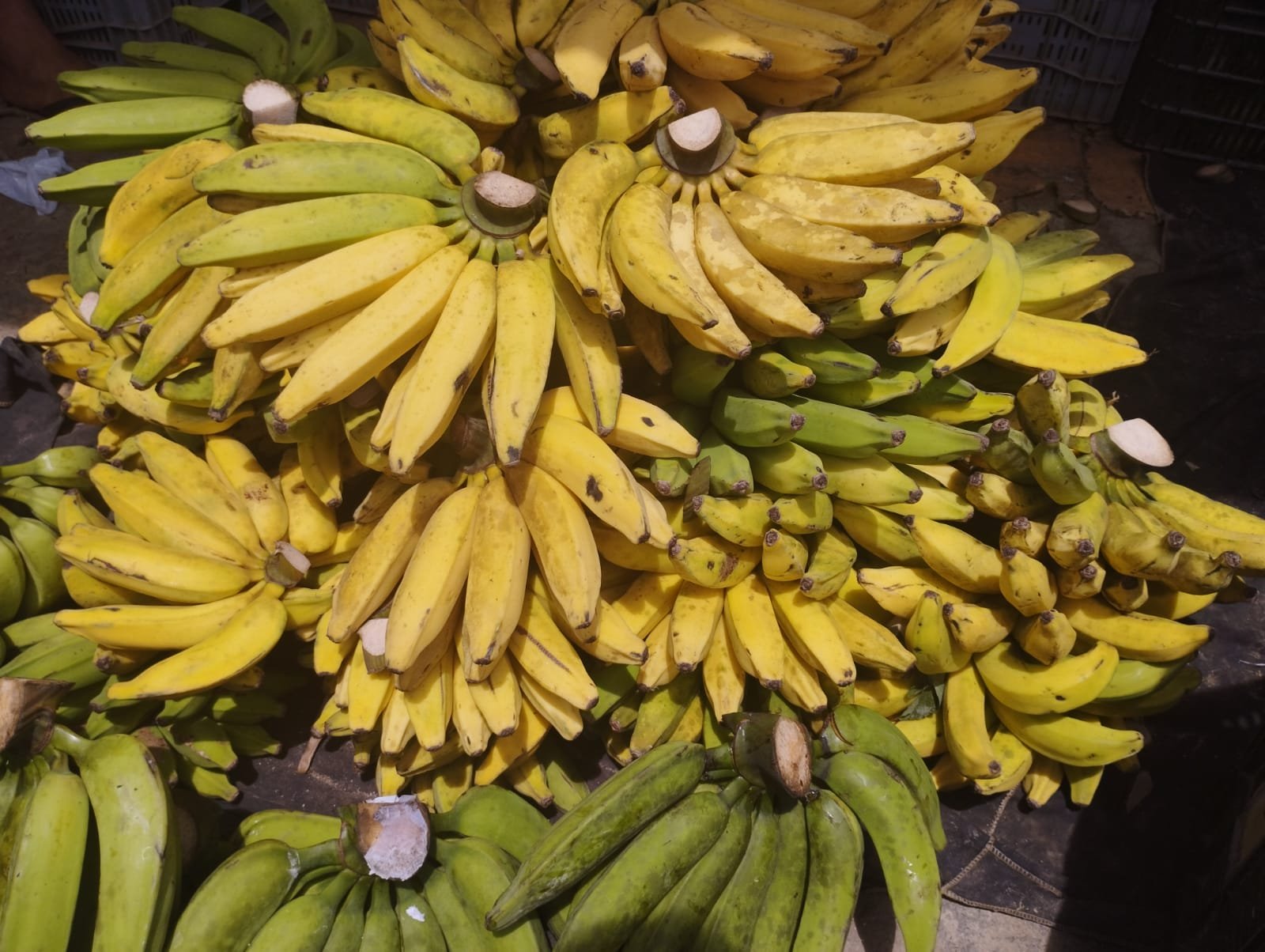 cotação=preço-caruaru-ceaca-aumento