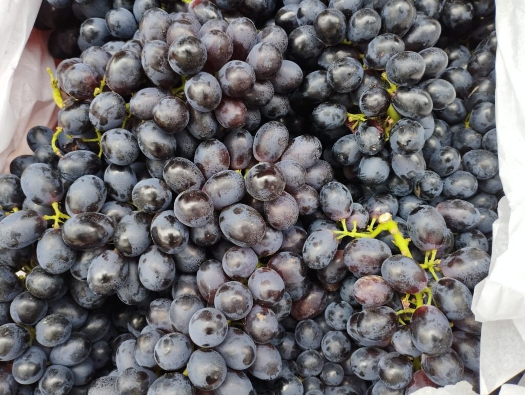 (Imagem: Divulgação/PMC)