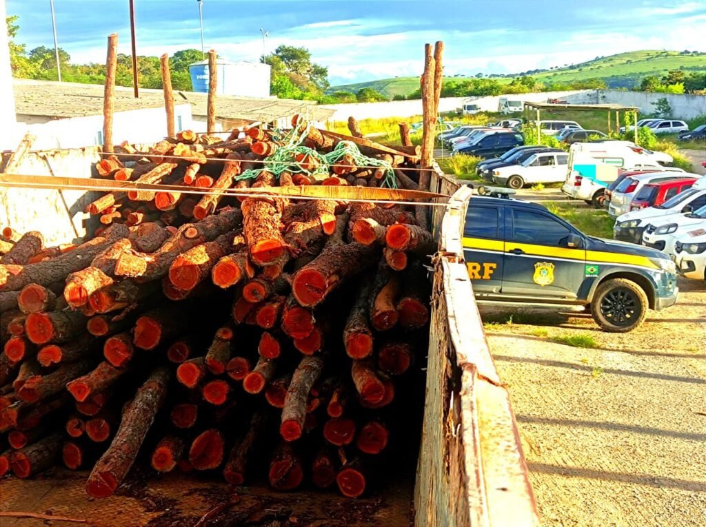 Carga foi apreensão aconteceu nesta terça (14). (Imagem: Divulgação/PRF)