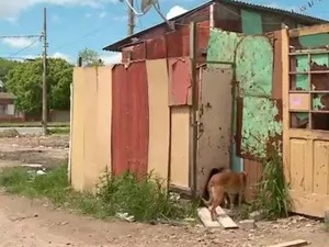 Pesquisa consta no Censo 2022. (Foto: Reprodução/RBS TV)