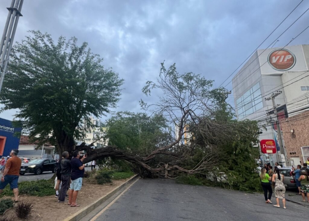 Autoridades compareceram para retirar a idosa. (Imagem: Isabela Costa/Metropolitana FM Caruaru)