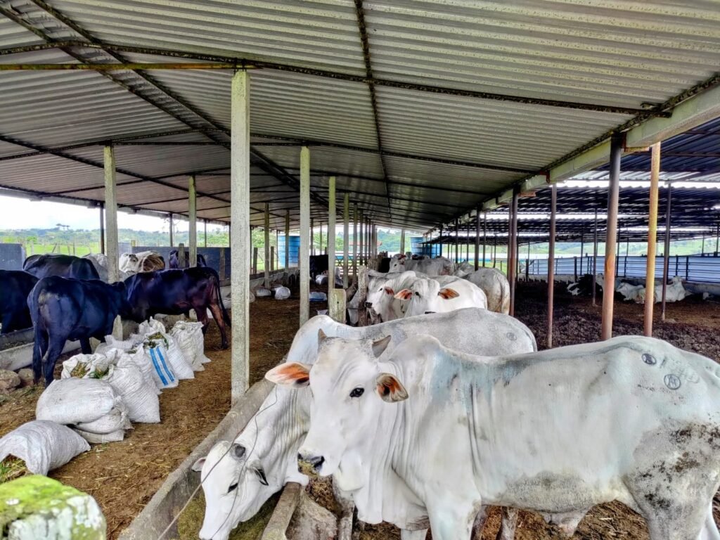 Reconhecimento foi anunciado nesta quinta (29). (Imagem: Pablo Amaral/DAS)