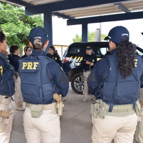 (Imagem: Divulgação/Internet)