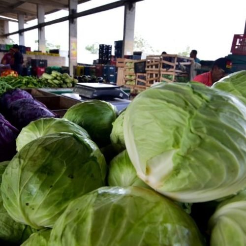 (Imagem: Reprodução)