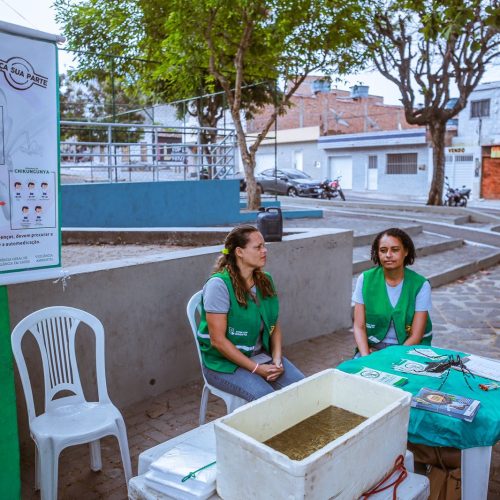 dengue-caruaru-prevenção-informação