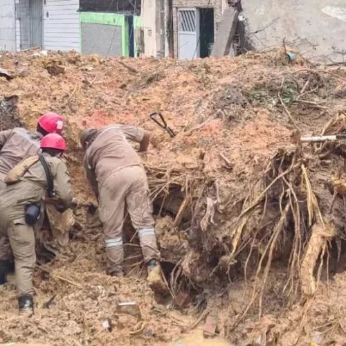 Levantamento foi realizado a partir de um questionário enviado aos municípios e ao distrito de Fernando de Noronha. (Imagem: Corpo de Bombeiros de Pernambuco)