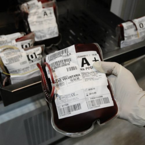 Podem doar sangue pessoas entre 16 e 69 anos. (Imagem: Divulgação/Hemope)