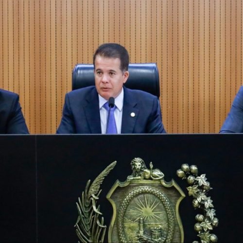 Tema foi discutido pelos parlamentares. (Imagem: Nando Chiappetta)