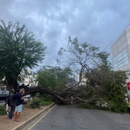 Autoridades compareceram para retirar a idosa. (Imagem: Isabela Costa/Metropolitana FM Caruaru)
