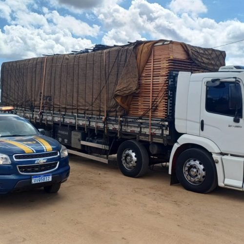 Ao todo, 178 m³ foram apreendidos. (Imagem: Divulgação/PRF)