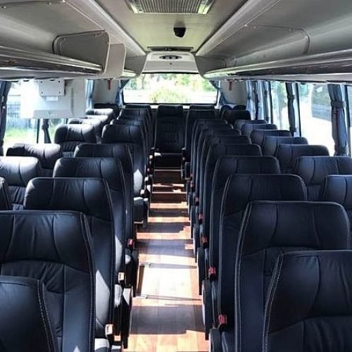 Projeto está em análise na Câmara dos Deputados. (Imagem: Reprodução/Internet)