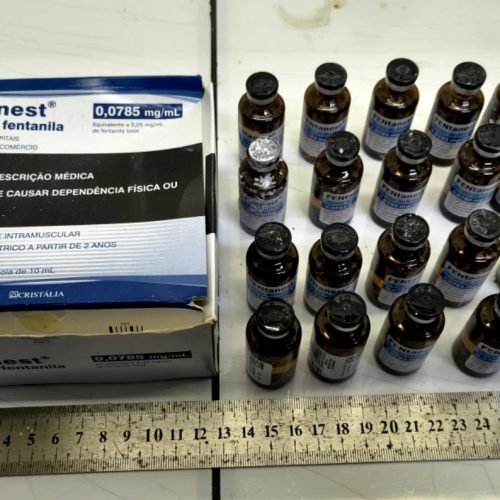 Mulher não tinha registro de antecedentes criminais. (Imagem: Divulgação/PF)