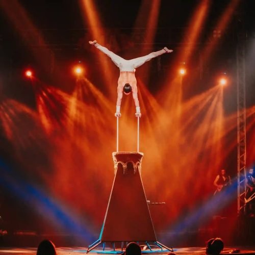 Ingressos já podem ser garantido no site oficial. (Imagem: Divulgação/Circo Americano)