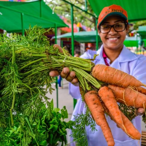 Imagem: Divulgação
