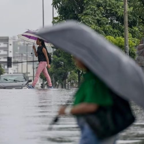 (Imagem: Fred Magno / O TEMPO)