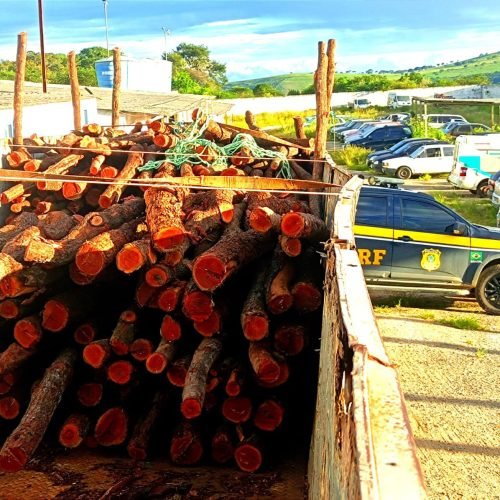 Carga foi apreensão aconteceu nesta terça (14). (Imagem: Divulgação/PRF)