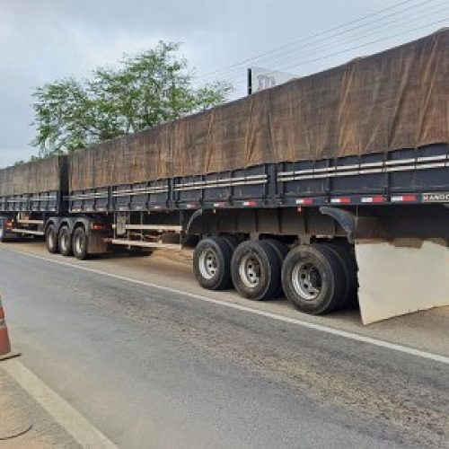 Mercadoria foi encaminhada para a Sefaz. (Imagem: Divulgação/PRF)