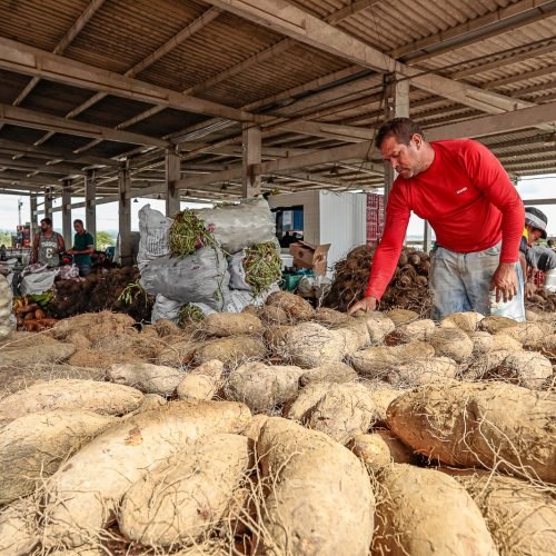 (Imagem: Jorge Farias)