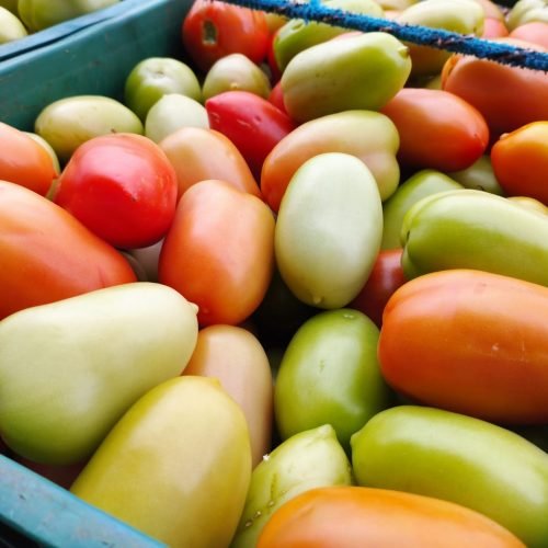 Foram analisados 74 itens. (Imagem: Divulgação/ PMC)