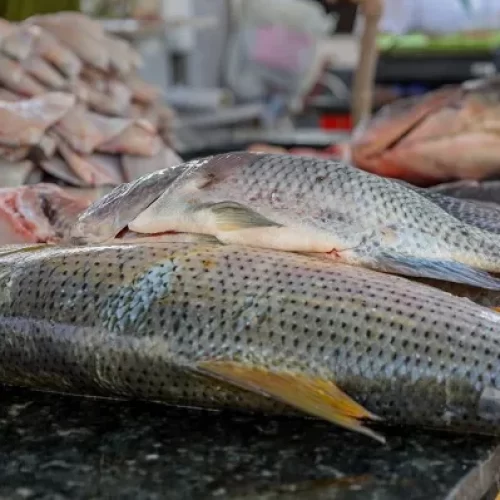 feira-de-peixe-caruaru