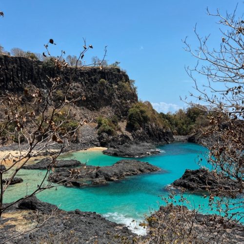 Ilha também se destaque no quesito sustentabilidade. (Imagem: Weidson Carlos)