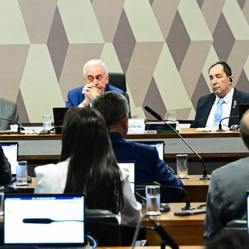 Votação agora seguirá para plenário. (Imagem: Geraldo Magela/Agência Senado)