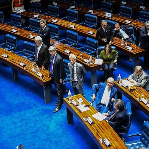 Projeto ainda será promulgado. (Imagem: Jonas Pereira/Agência Senado)