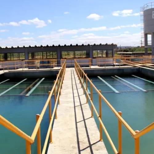 (Imagem: Reprodução/Internet)