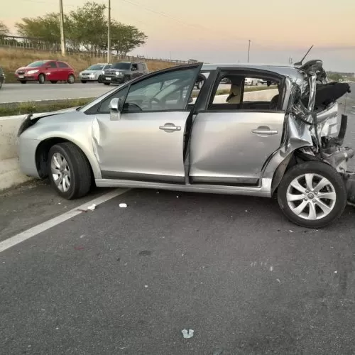 acidente-bezerros-feridos-carros